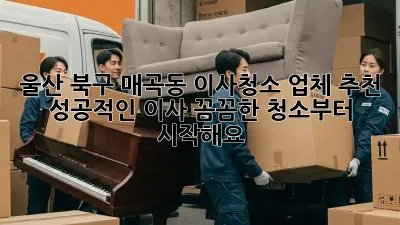 울산 북구 매곡동 이사청소 업체 추천: 성공적인 이사, 꼼꼼한 청소부터 시작해요!